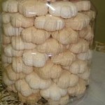  kue bangkit susu